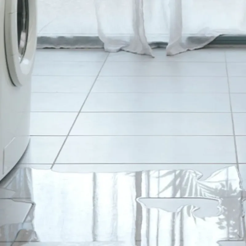 Appliance Leak Cleanup in Shorewood Hills, WI