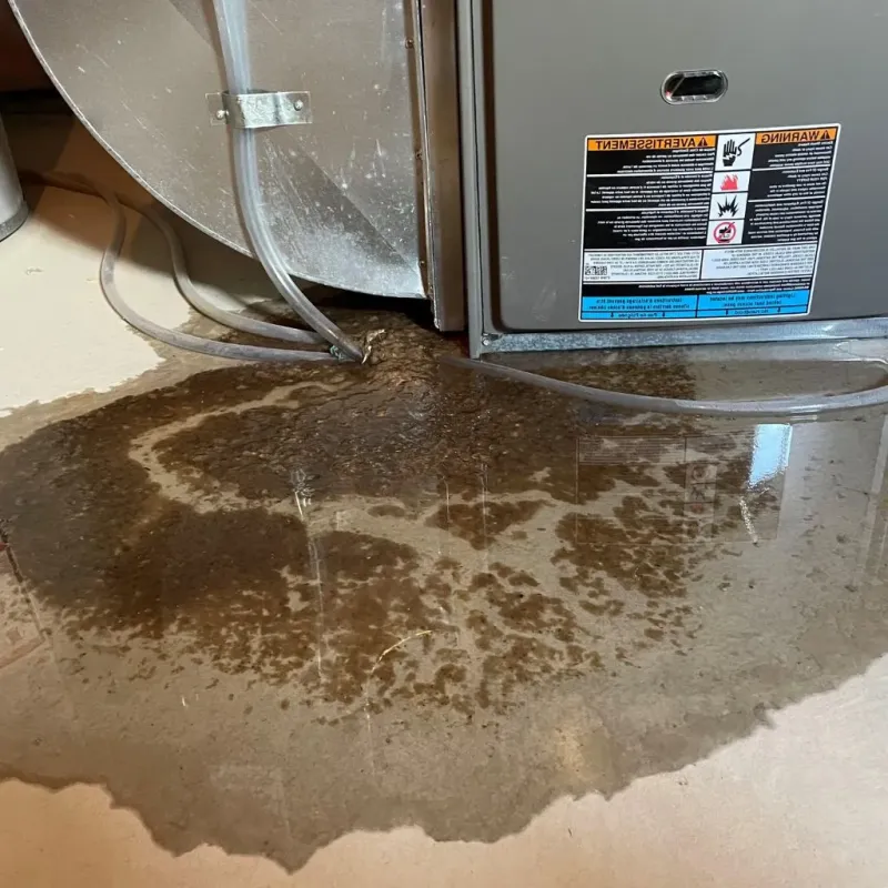 Pipe Burst and Leak Restoration in Shorewood Hills, WI